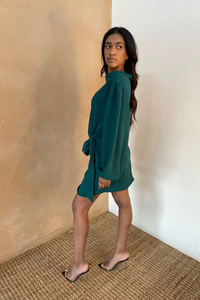 Ray Turtle Neck Tie Dress